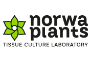 Norwa Plants-Tissue Culture Laboraotry